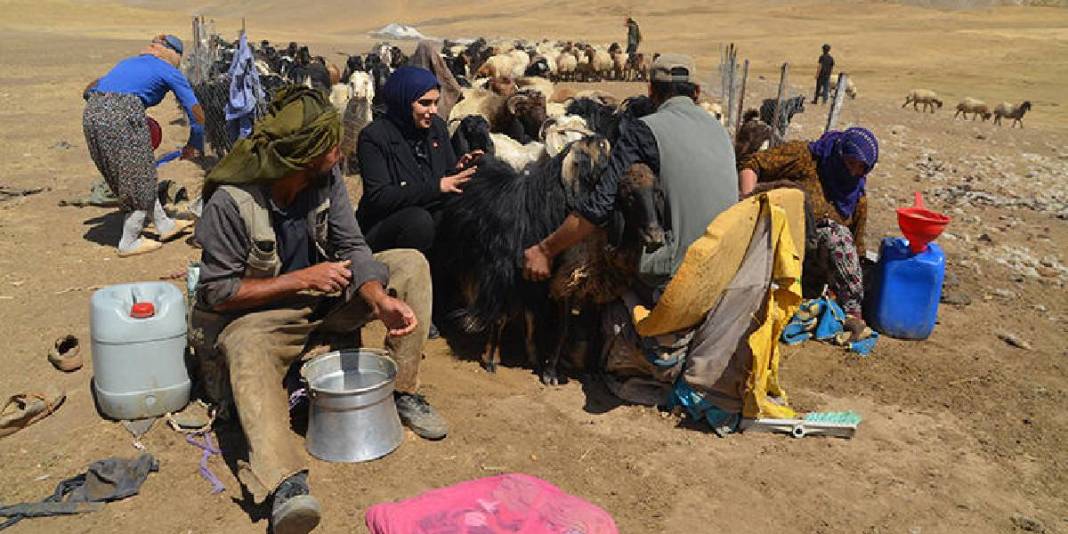 Yaz bitti dönüş yoluna geçildi! 5 ay süren serüven: Birçoğunun geçim kaynağı… 1